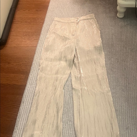 H&M Shimmer Pants - Picture 1 of 3